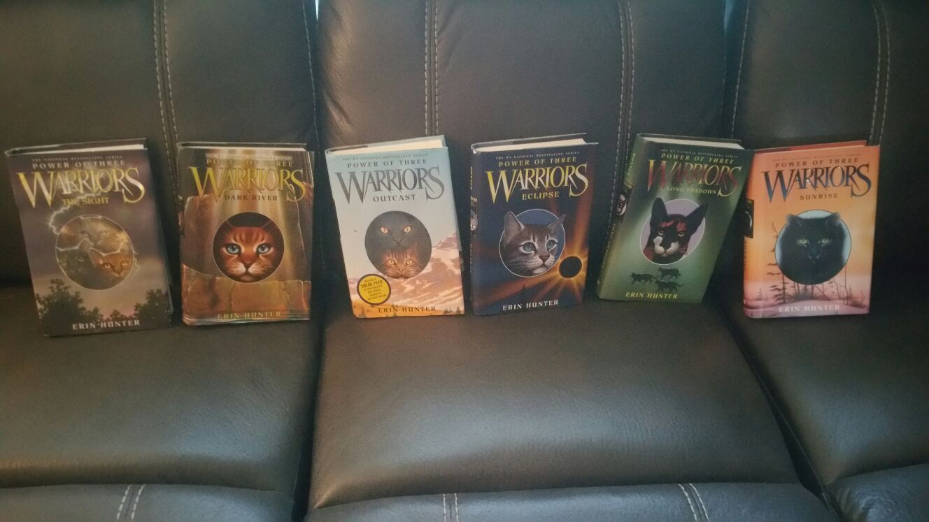 Warrior Cats books - Books - Port Orchard, Washington