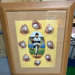 The art of the pitch framed picture