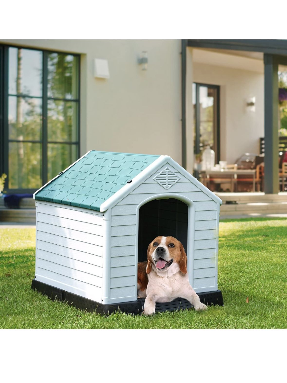 Dog House