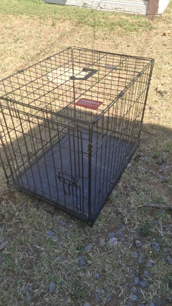 Gaula Para Perros En Buenas Condiciones