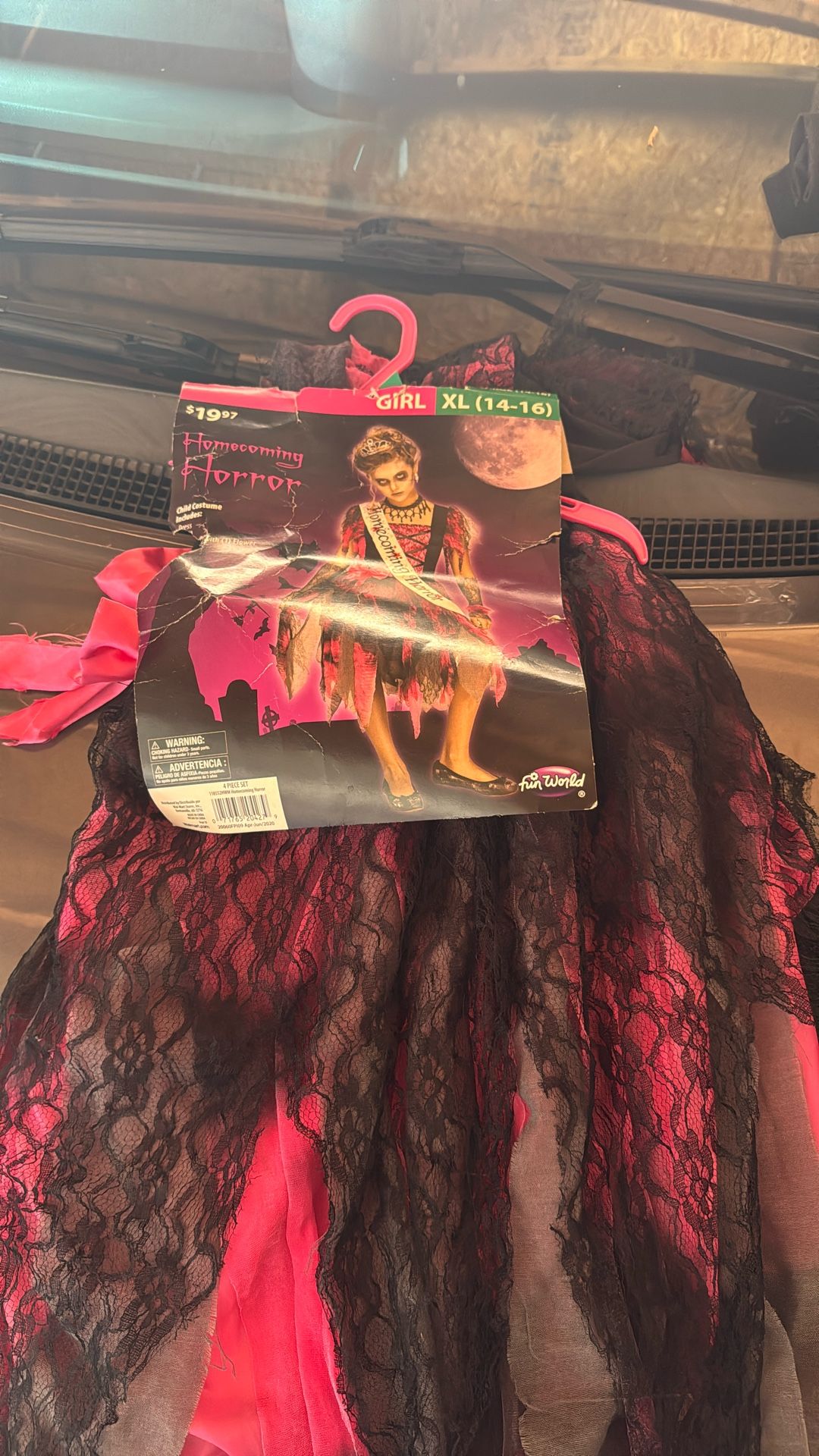 Halloween Costumes