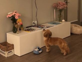 IKEA TV Console
