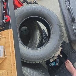 Bridgestone Blizzak DM-V2 Winter Tires