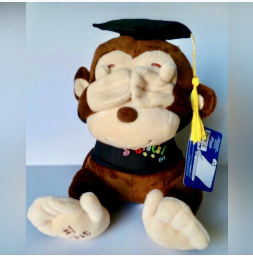Graduation Monkey See No  Evil Pose!