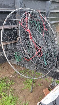 Fishing Nets 
