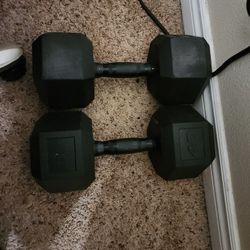 40 Lbs. Dumbbells 