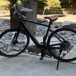 Voya E3 Giant E-bike 