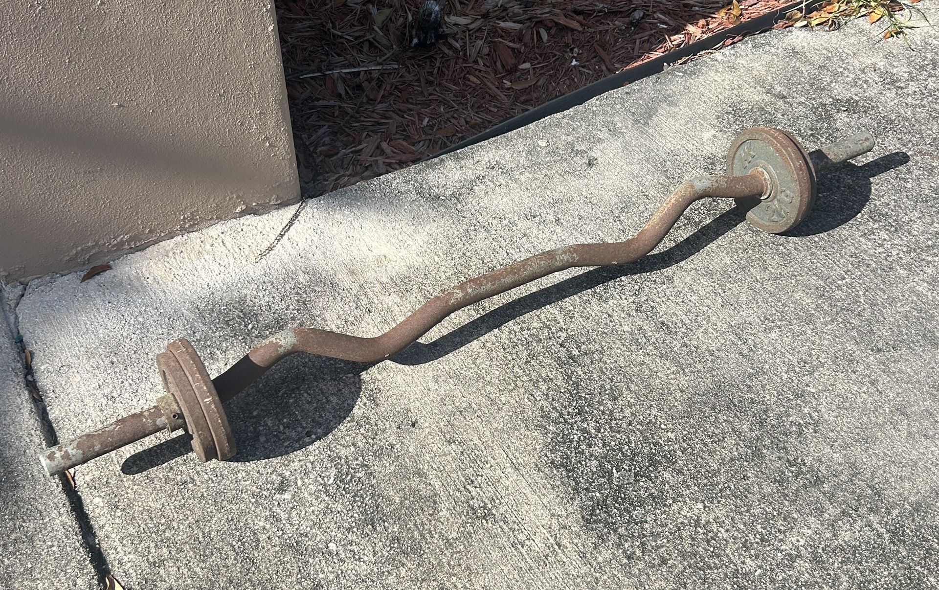 Curl Bar With Weights