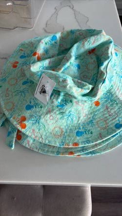 3 Disney Hats