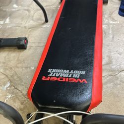 Exercise Bike And Weider Workout Machine