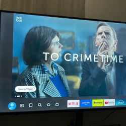 75 In Insignia Smart TV . New
