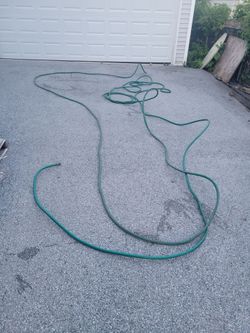 Garden hose 50ft