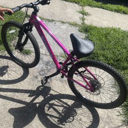 Schwinn Pink Bike