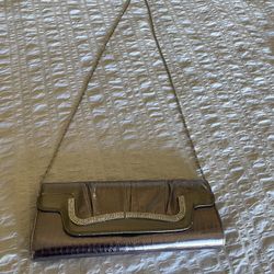 Beautiful Evening Silver Women purse