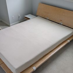 Queen Organic Latex Matress