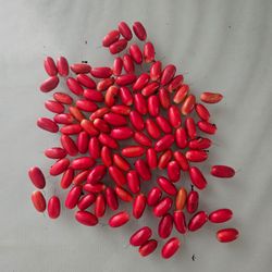 100 Fresh Miracle Fruits Total $35
