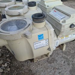 Pool Pump 