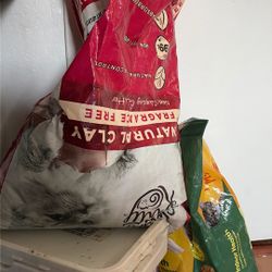 Cat Litter