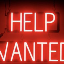 Cook Needed