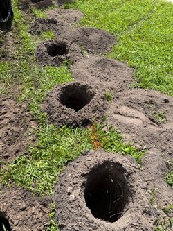 Fence holes/huecos