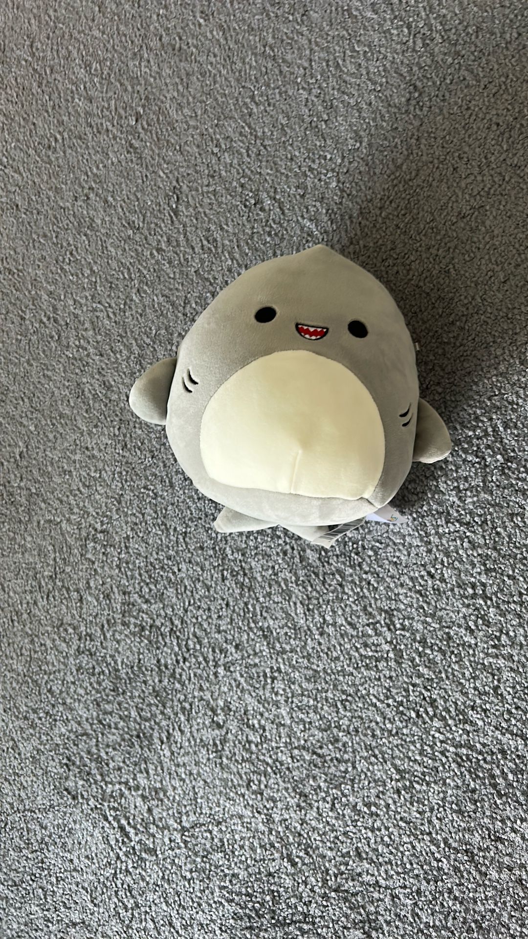 Shark Squishmallow