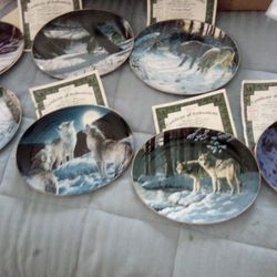 Wolf Decritiv Plates