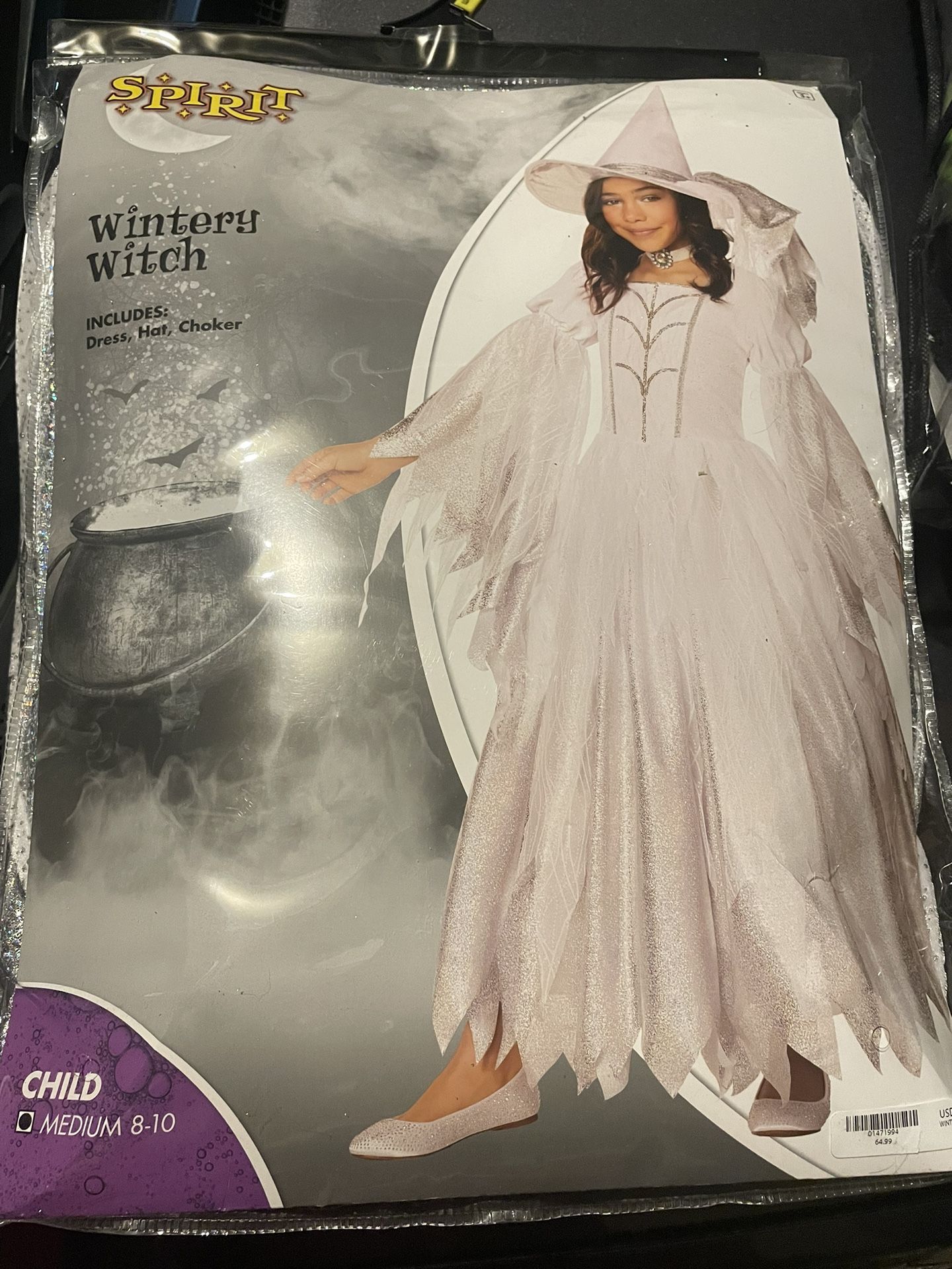 Wintery Witch