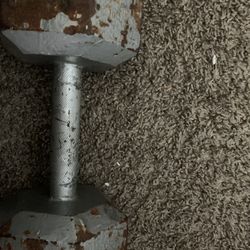 Dumbbell For Working Out 