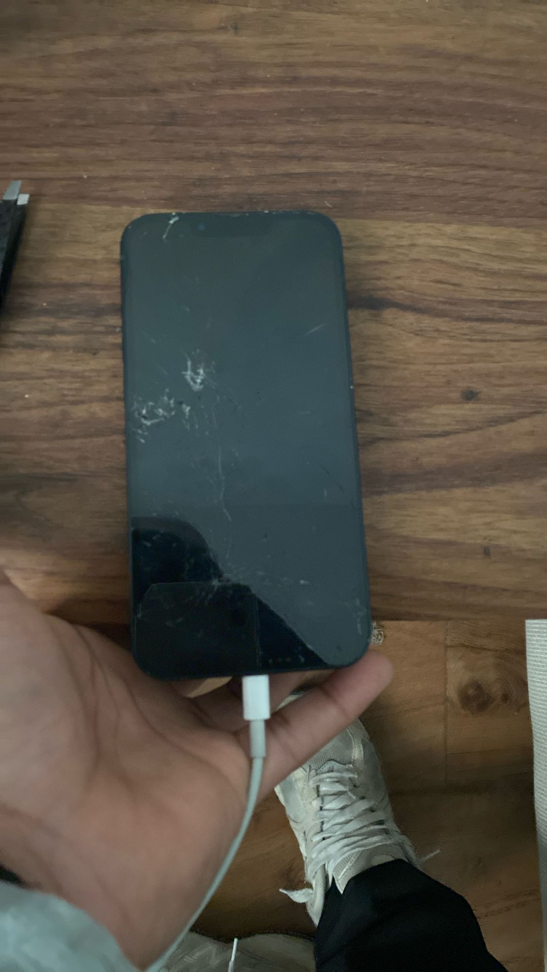 iPhone 13