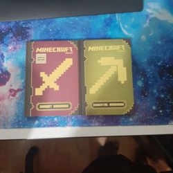 2 Minecraft Books