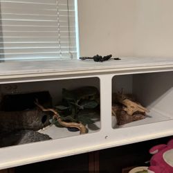 Reptile Enclosure