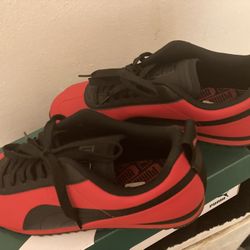 Brand New Pumas In Box Sz 91/2