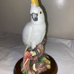 Porcelain Sulphur Crested Cackatoo with Anthurium Andrea by Sadek