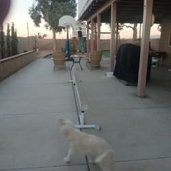 Gymnastics Beam