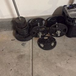 Work Out Weights 