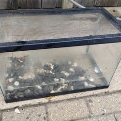 Small Aquarium