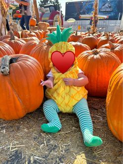 Pineapple costume