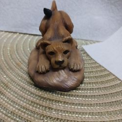 Leoncito $5