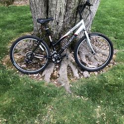 26” Trek Mountain Bike 