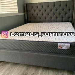 Queen Grey Euro Plain With Ortho Matres!!