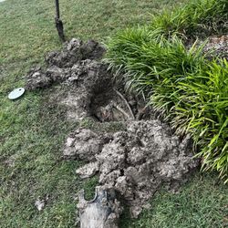 Sprinkler System Repair 