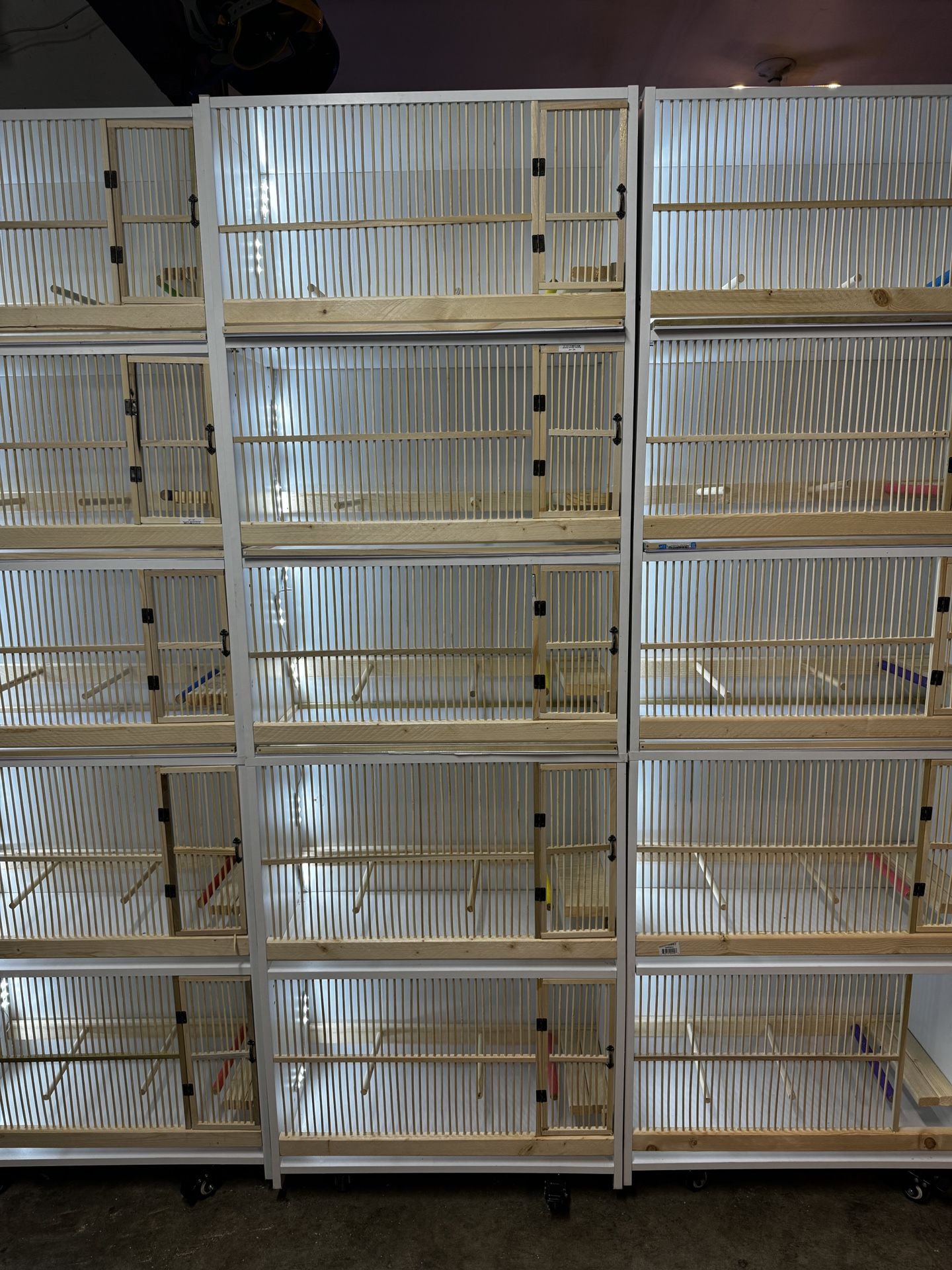 Bird Cage