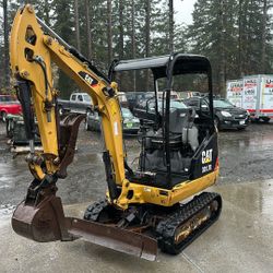 Cat Excavator 