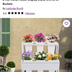 Flower Display Stand