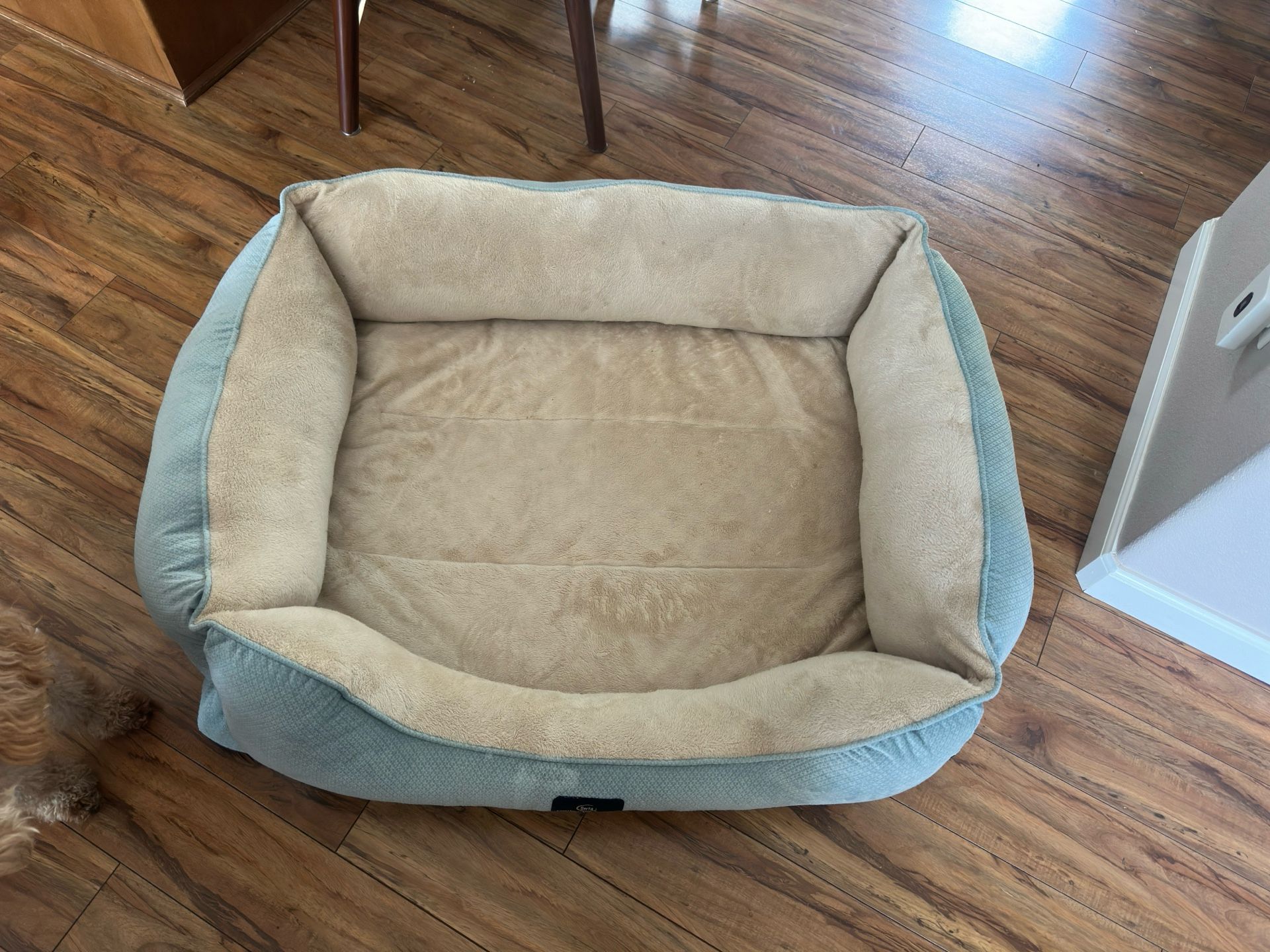 Big Dog Bed