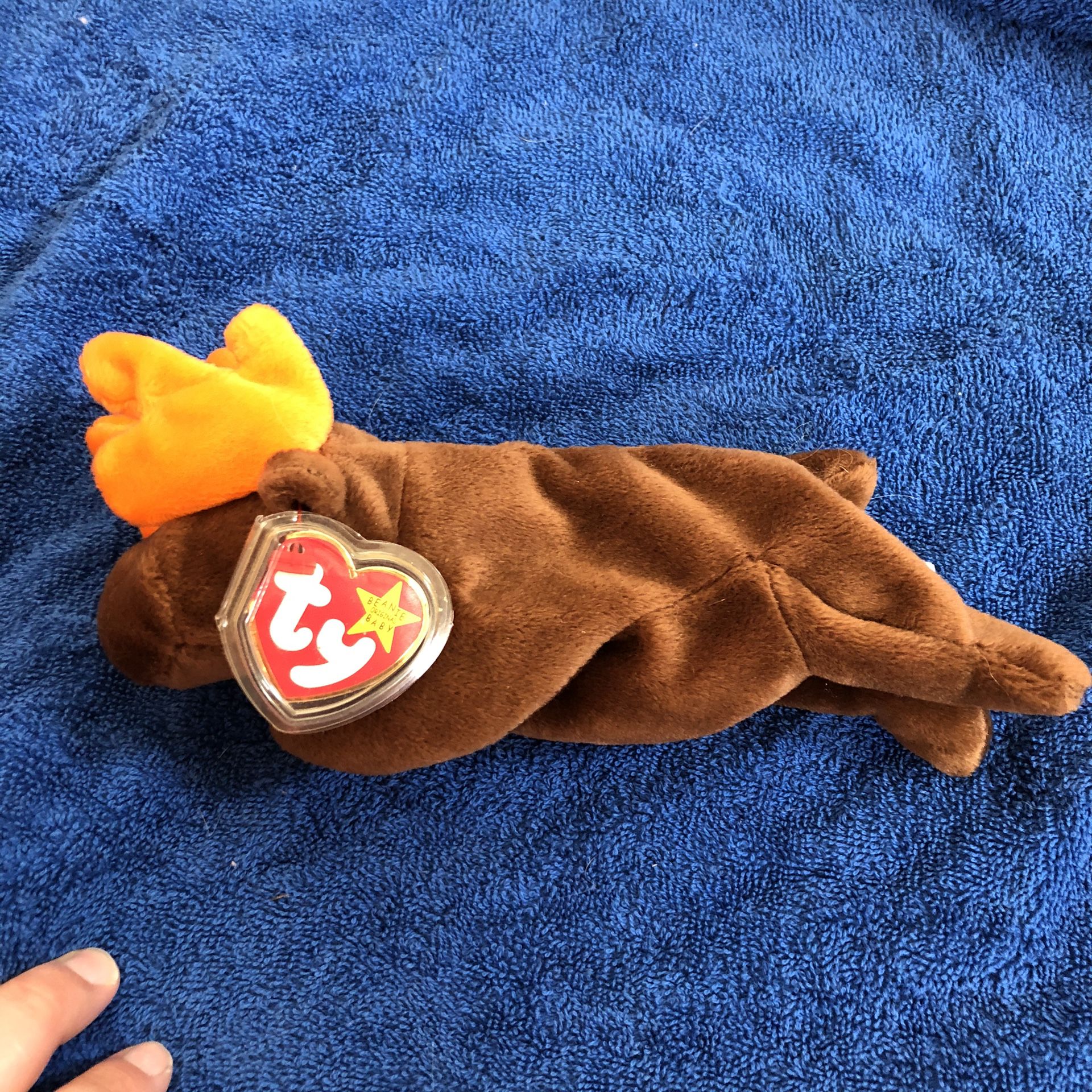 Moose beanie baby with tags