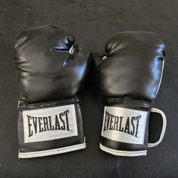 Everlast Boxing Gloves 12oz
