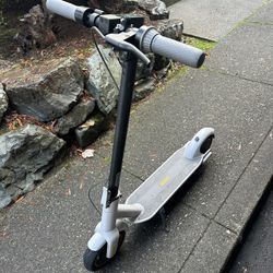 electric scooter 