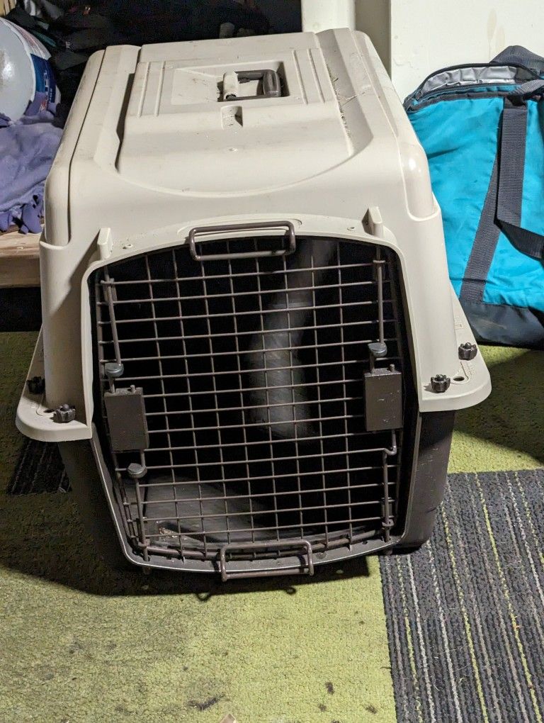 Dog Kennel