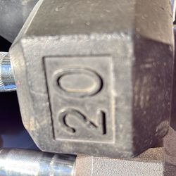 20 Pound Set